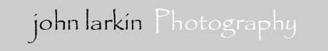 Rochester Senior Portraits